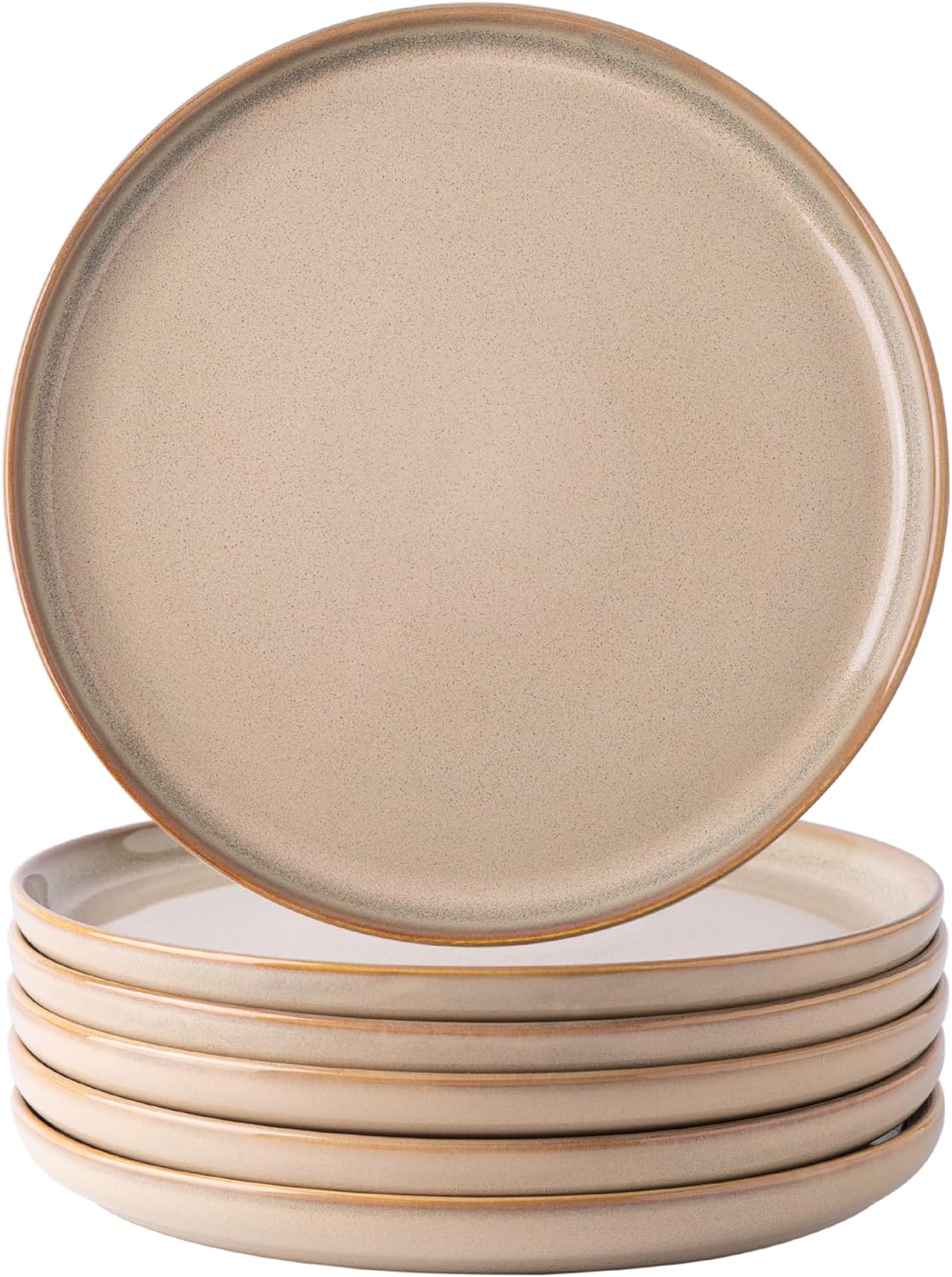 AmorArc Dinner Plates Set of 6, Unique 10.5 Inch Ceramic Plates