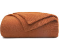 Caramel 53x71 Super Soft Fluffy Throw Blanket - Cozy Lightweight Throw