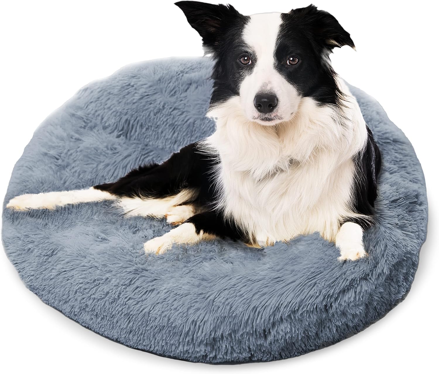 Active Pets Medium Dog Bed for Calming Comfort and Support