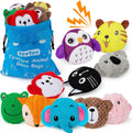 Sensory Bean Bag 10-Pack for Autism & Fine Motor Skills