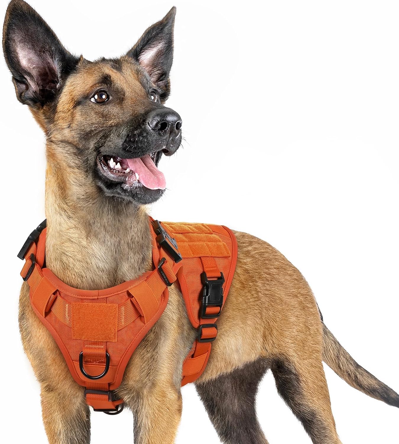 rabbitgoo Tactical Dog Harness for Small Breeds, Heavy Duty Vest