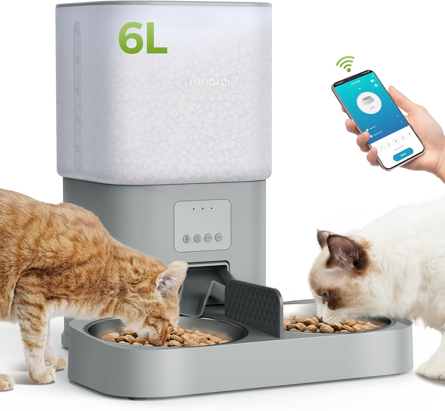 Grandtail Automatic Pet Feeder - Timed Meals & Elevated Design