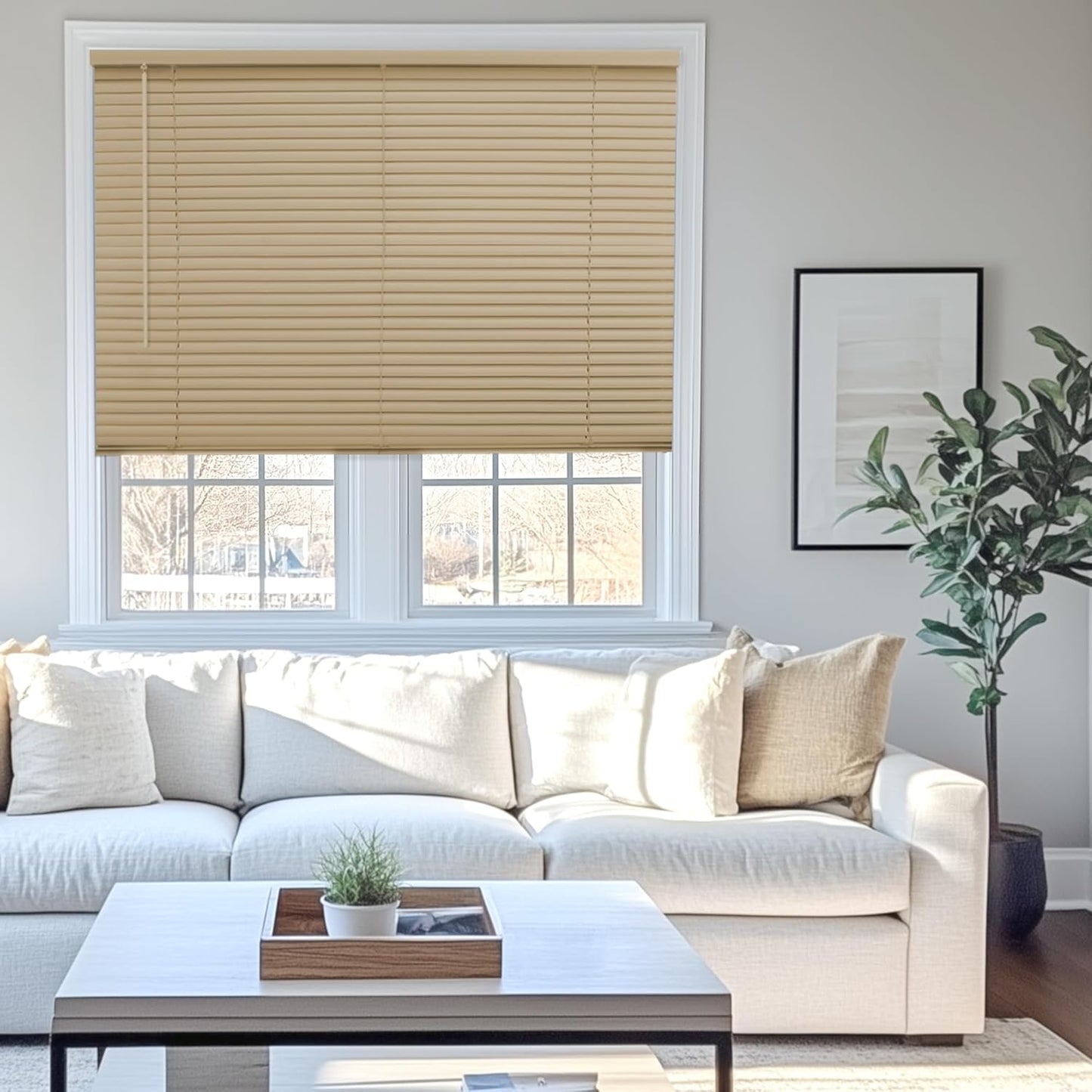 Chicology Mini Blinds for Windows and Doors - 39in x 60in