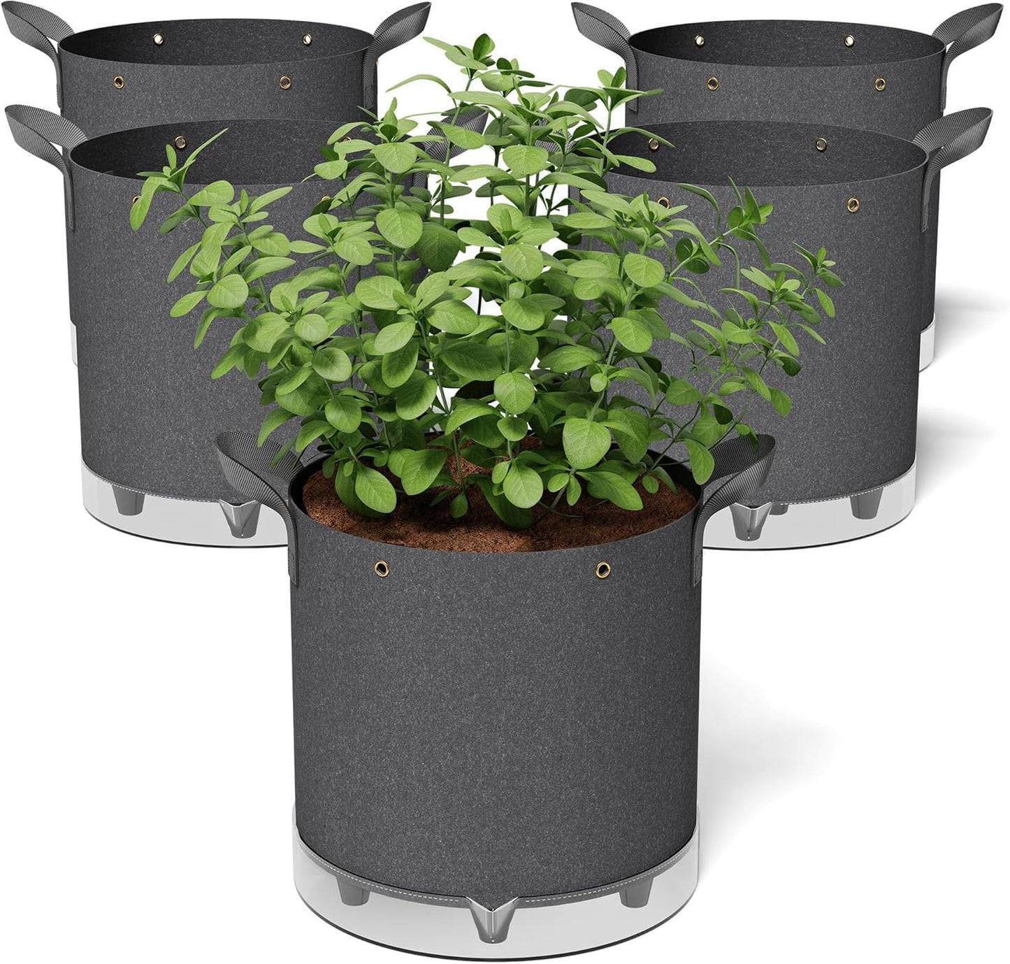 Self-Watering Grow Bags for Low Stress Plant Training and Growth
