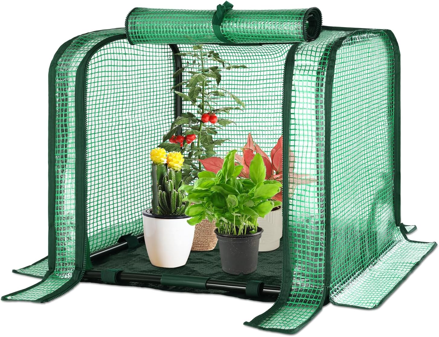 Small Greenhouse with Waterproof Pad for Plants