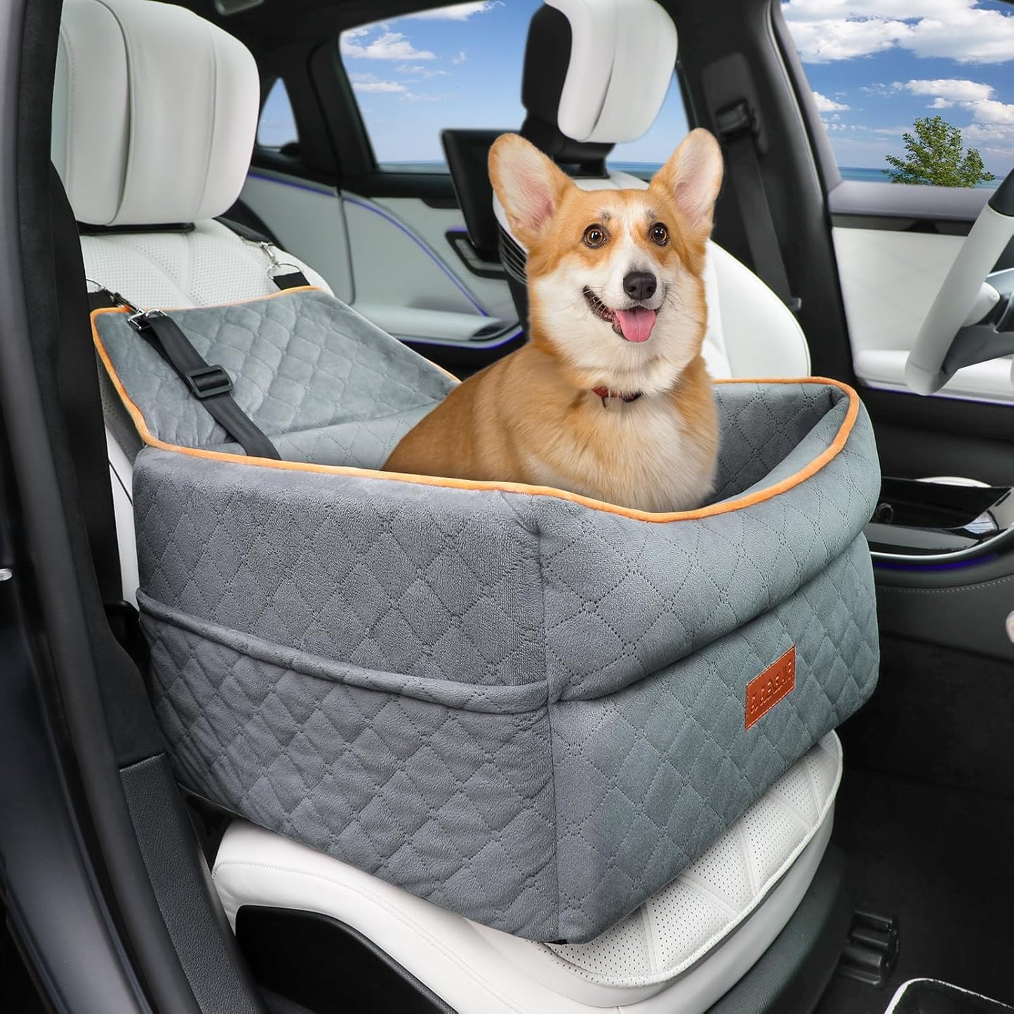 Dog Car Seat for Small Medium Dogs with Memory Foam Comfort