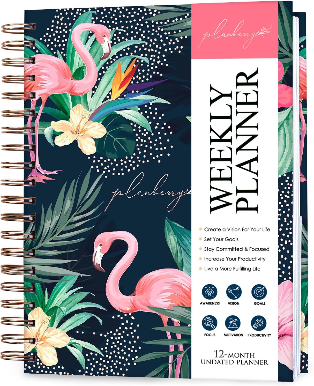PLANBERRY Large Weekly Planner for Life & Budget Management