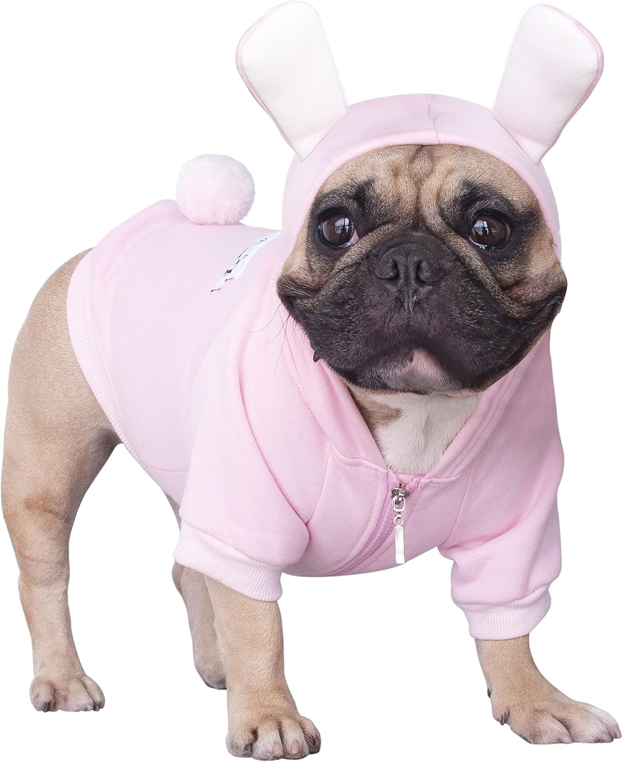 iChoue English Bulldog Bunny Dog Costume for Cold Weather Fun