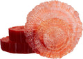 U-QE 60PCS Clear Orange Plates - Reef Orange Plastic Plates Disposable