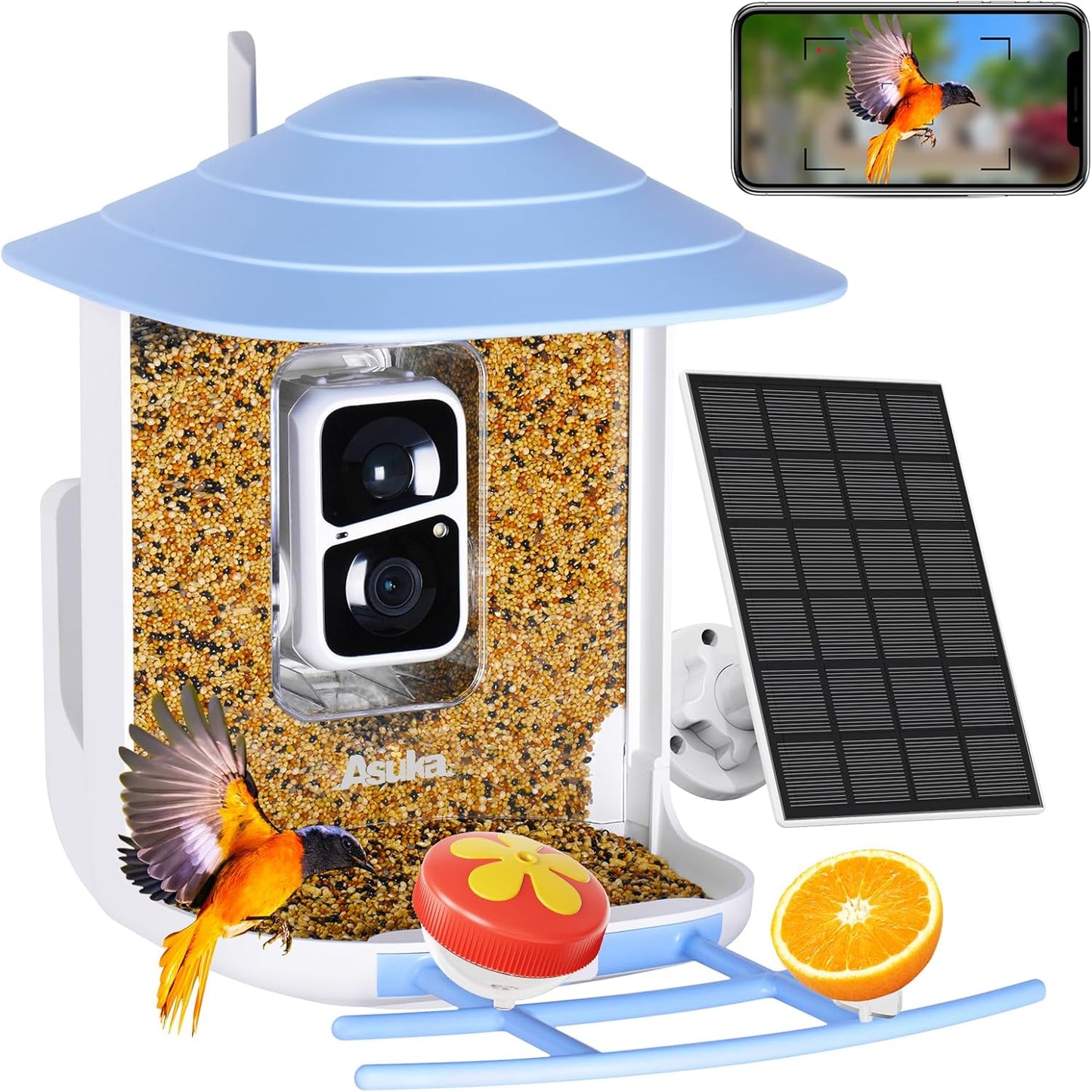 1080P HD Smart Bird Feeder Camera, Solar Powered, Motion Detection