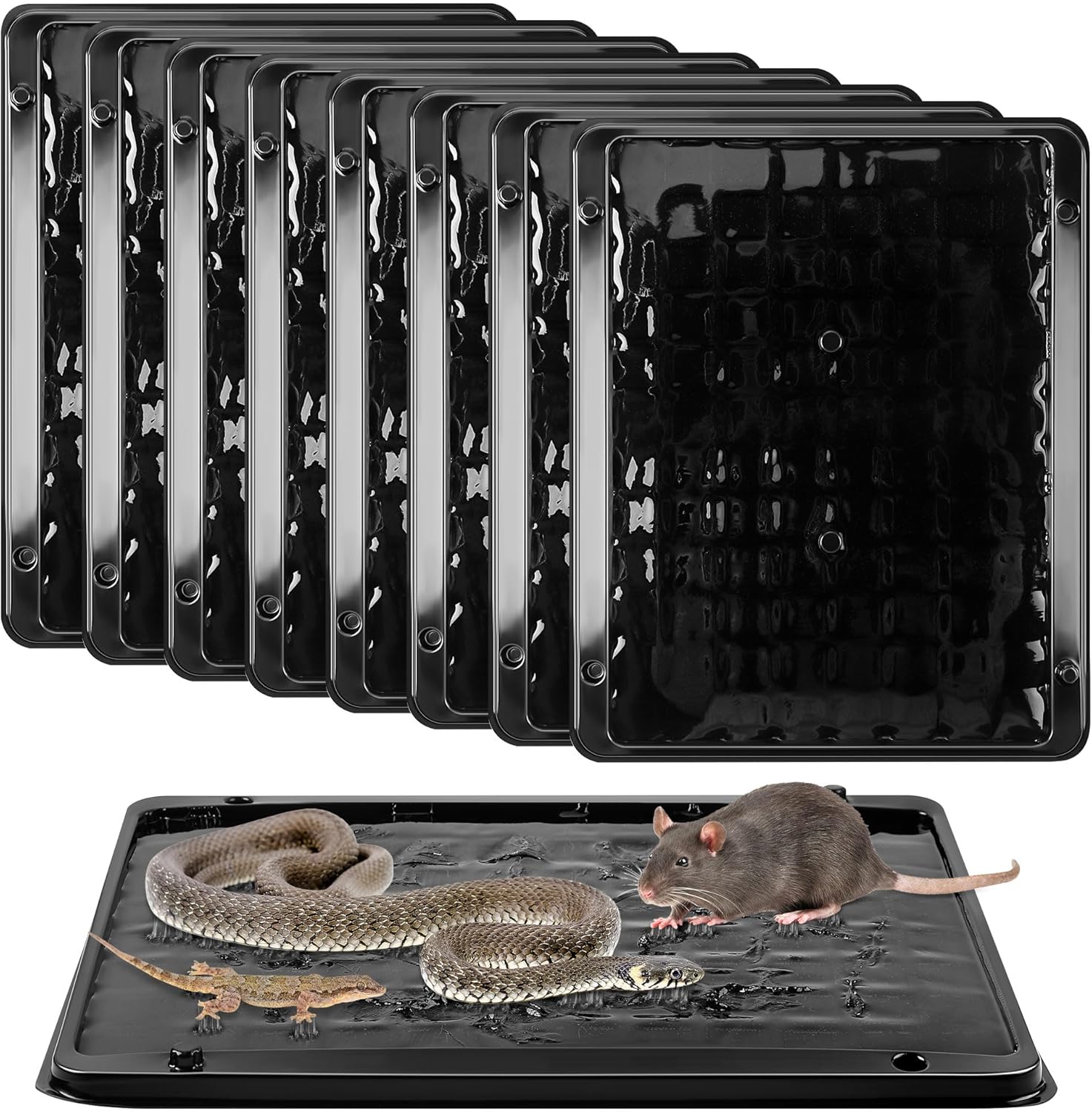 Qualirey Jumbo Rat & Mouse Glue Traps for Effective Pest Control