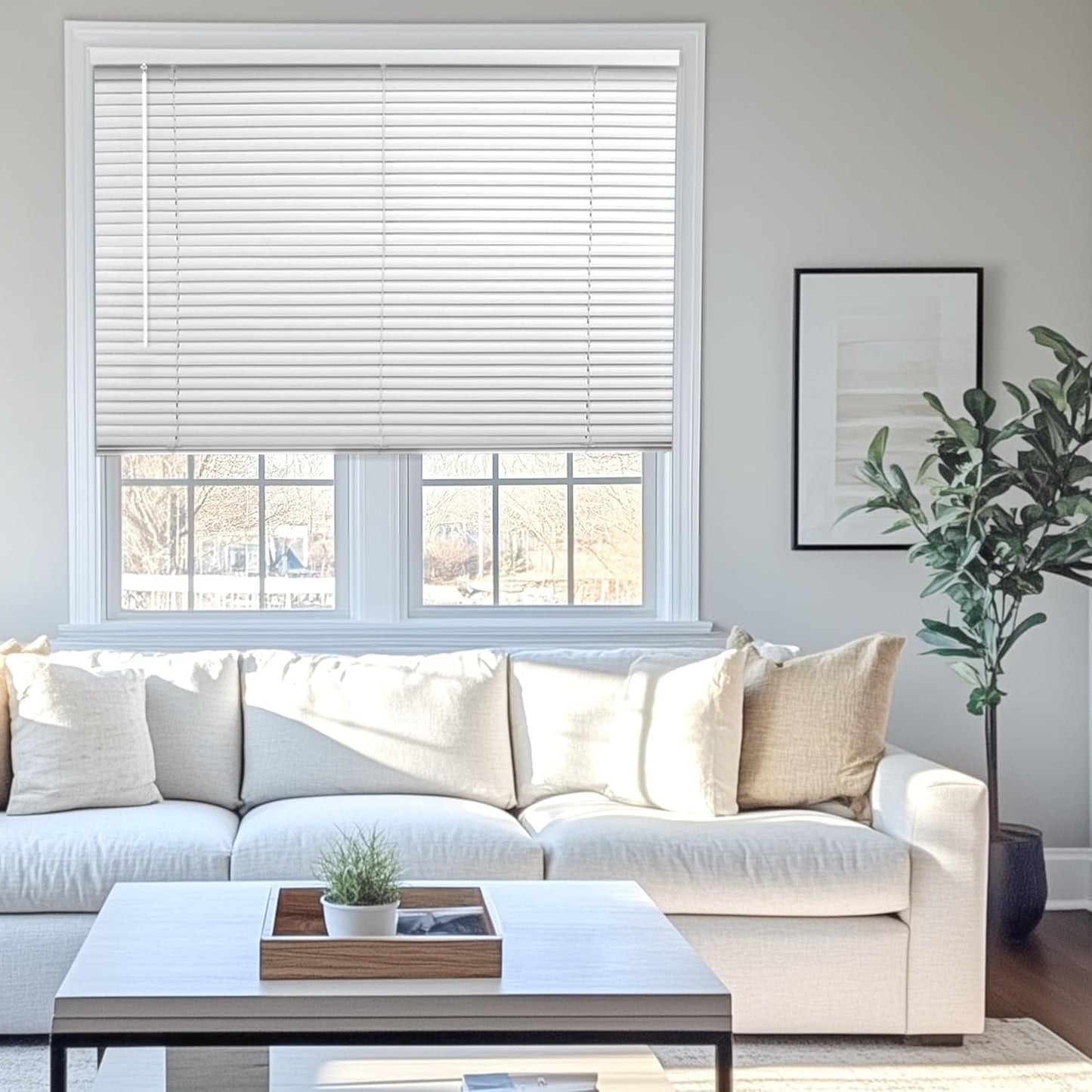 Chicology Mini Blinds for Indoor Windows - Cordless Vinyl Blinds