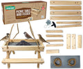 Picnic Table Feeder for Squirrels - DIY Backyard Bird Feeder Kit