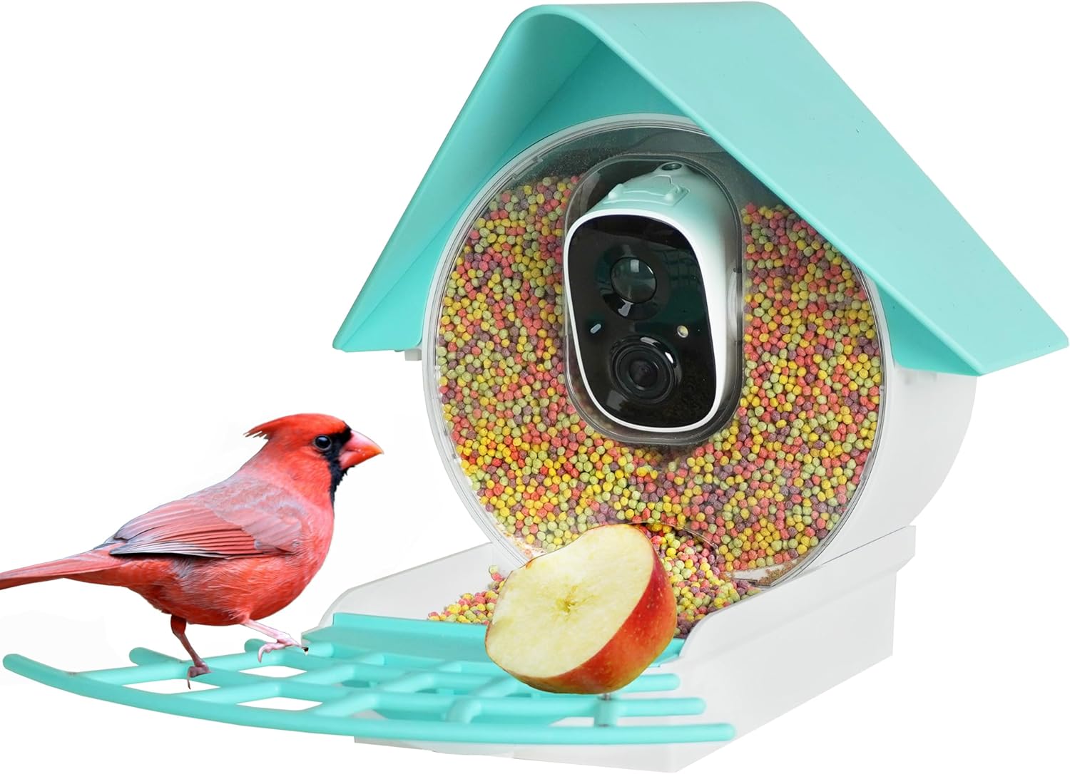Smart Bird Feeder Camera with Solar Panel for Bird Watching