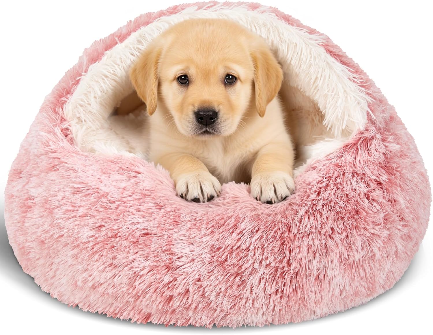 Calming Bean Mush Beds for Small and Medium Pets - Cozy Cat Cave