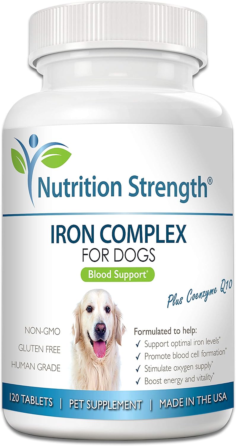 Iron for Dogs with Anemia - Support Blood Health & Oxygen Supply