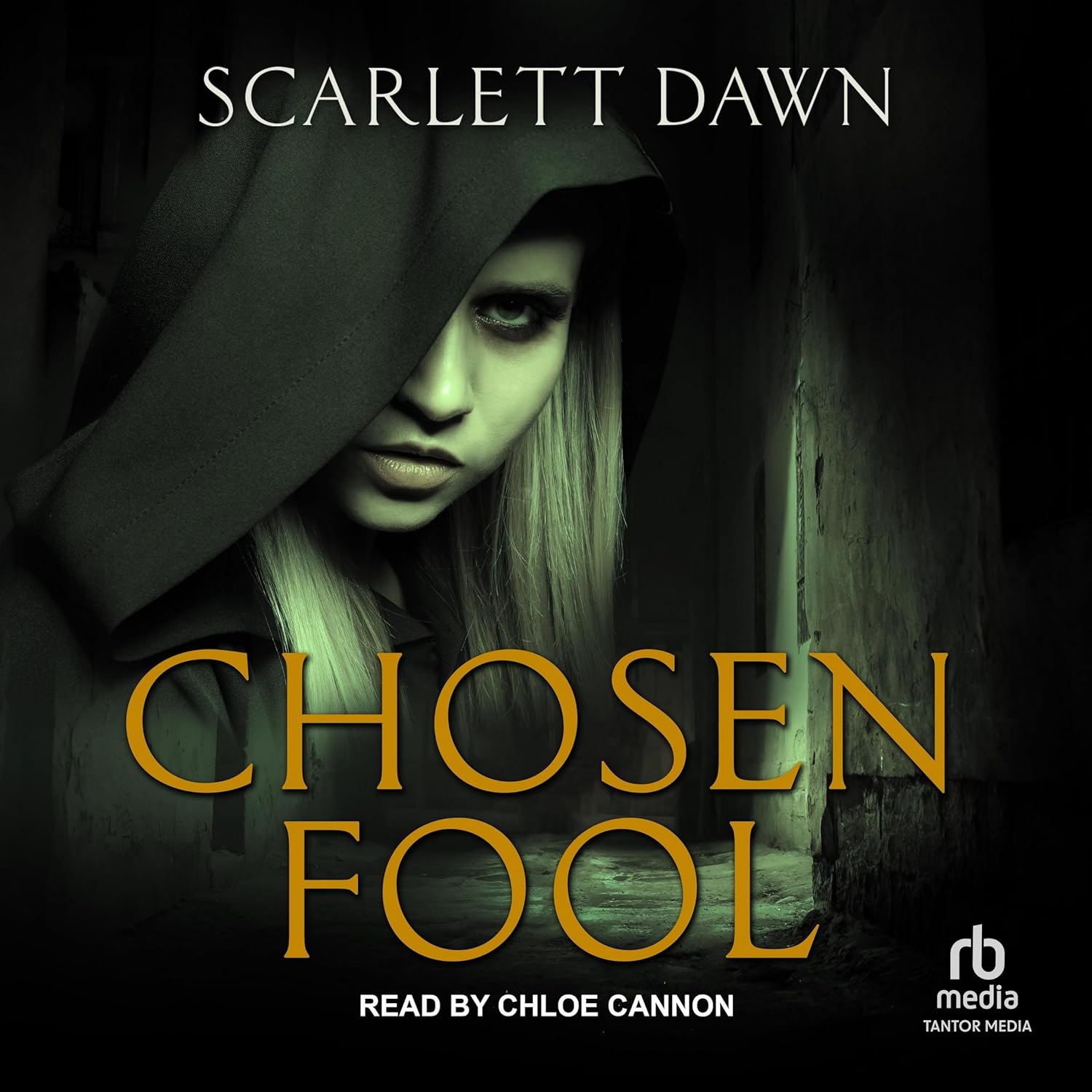 Chosen Fool by Scarlett Dawn: A Captivating Fantasy Adventure
