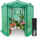 EAGLE PEAK 6.6x6.6 ft Hexagon Pop up Greenhouse - Quick Setup