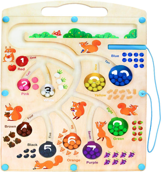Magnetic Color Maze - Montessori Counting Puzzle