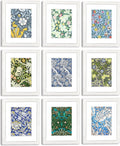8x10 White Picture Frame Set of 9 for 5x7 with Mat or 8x10 - Wall