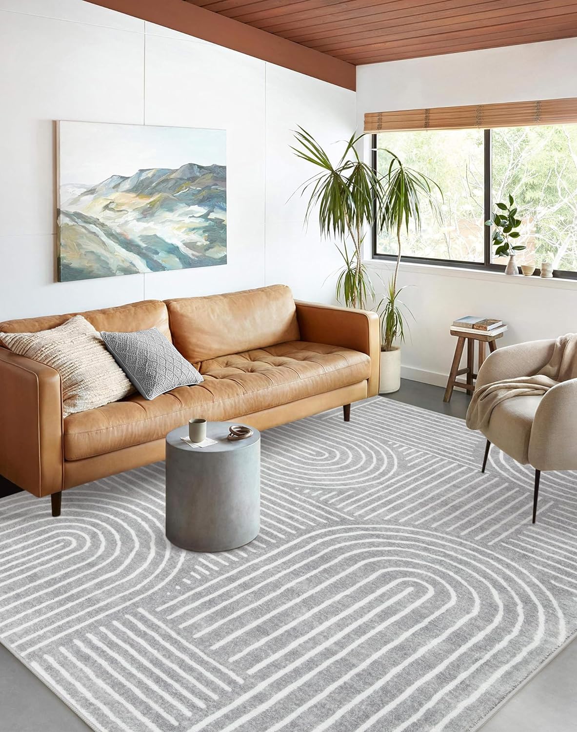 Lahome Abstract Area Rug 5x7 for Living Room and Bedroom