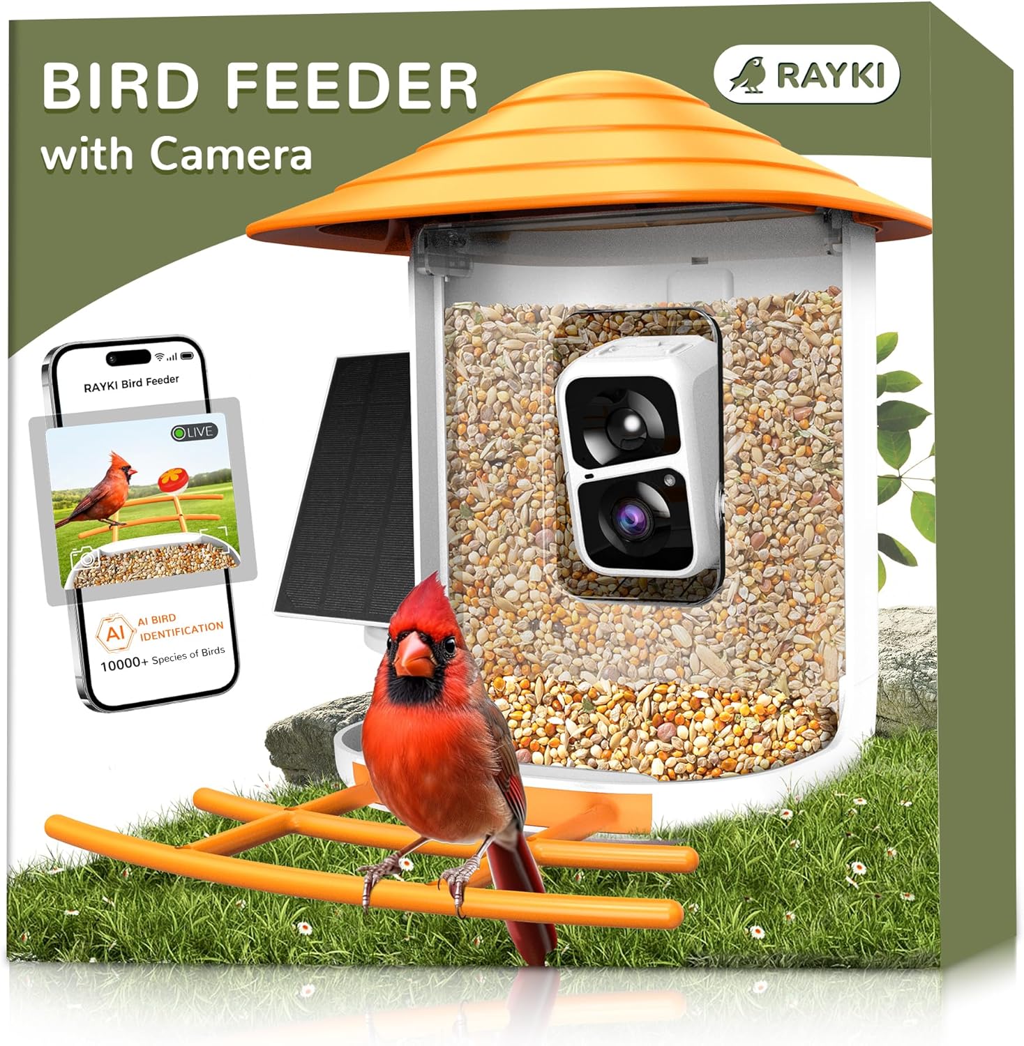 Rayki Smart Bird Feeder: Solar Powered 2K HD Cam