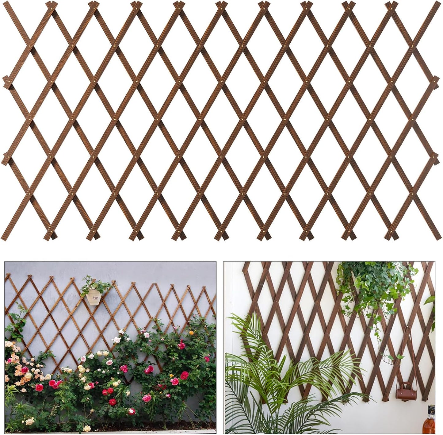 Expandable Garden Trellis for Climbing Plants and Vines