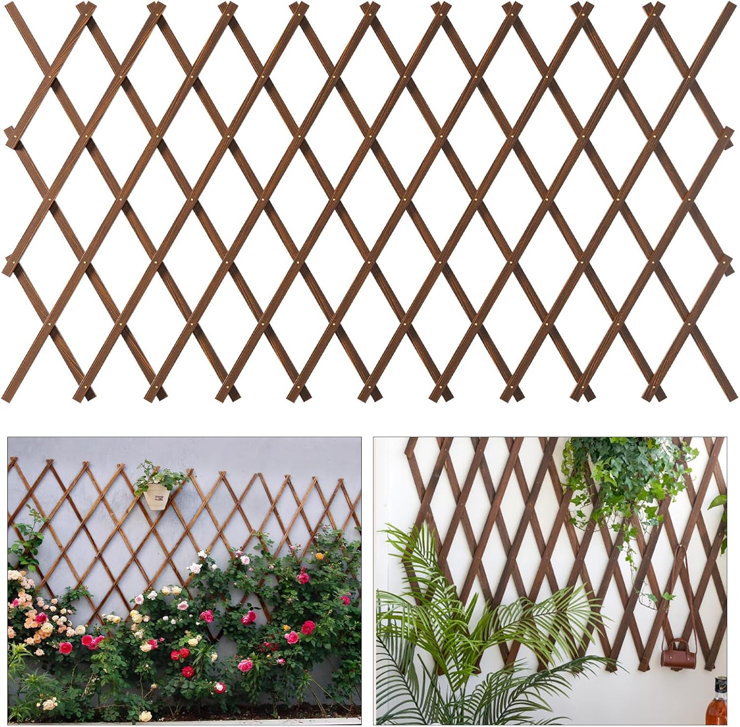 Expandable Garden Trellis for Climbing Plants and Vines