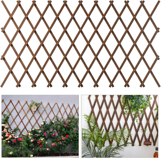 Expandable Garden Trellis for Climbing Plants and Vines