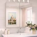 TokeShimi 30 x 26 Silver Aluminum Medicine Cabinet Mirror
