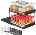 SpaceAid Pull Out Spice Rack Organizer for Cabinet - Slide-Out 2-Tier