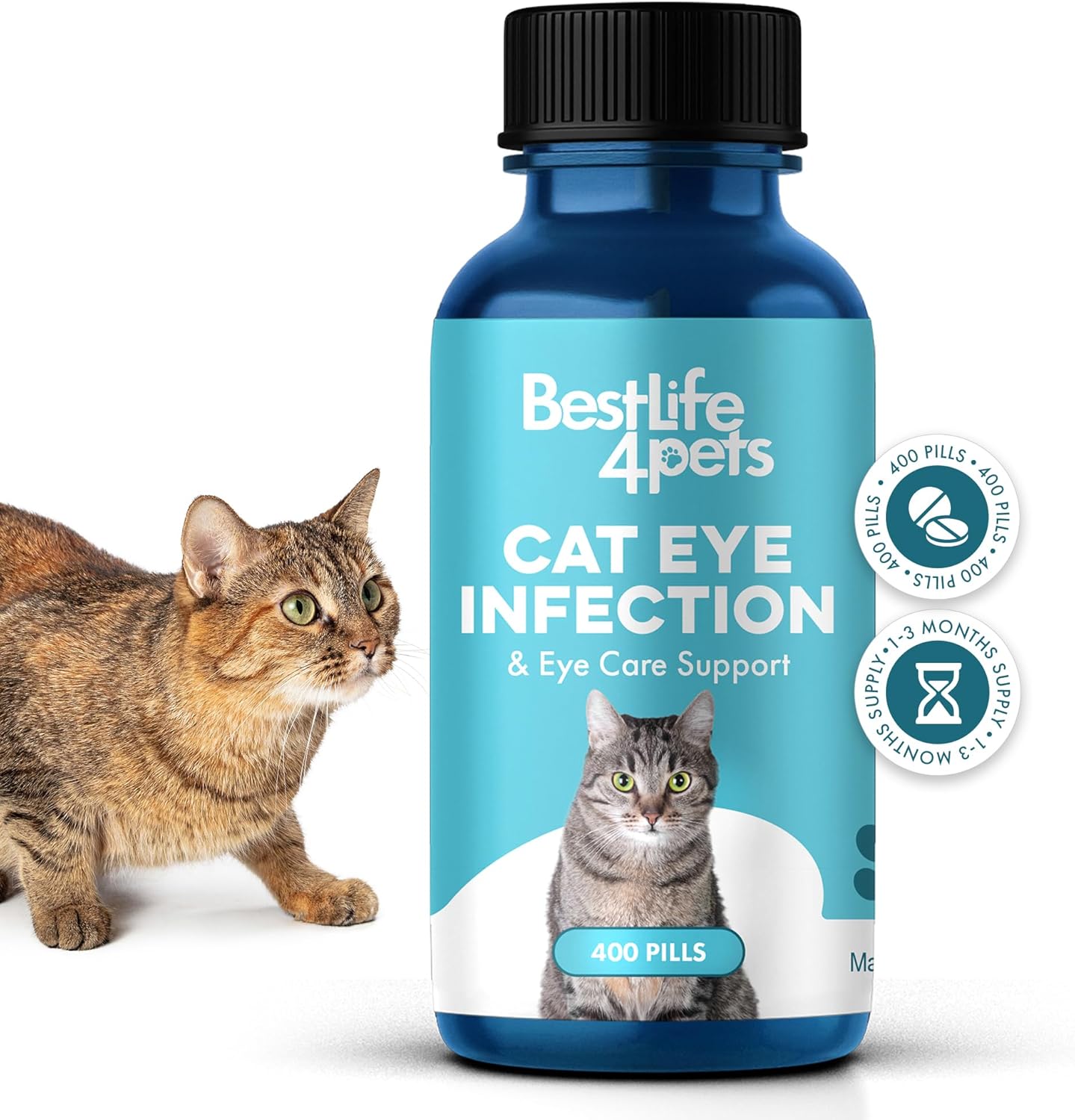 Cat Eye Infection & Vision Care Support for Cats & Kittens
