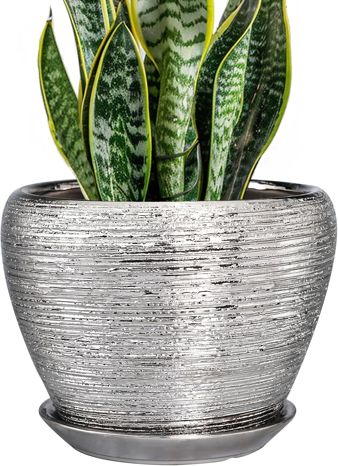 8 Inch Ceramic Plant Pot with Drainage Hole for Indoor Plants
