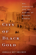 City of Black Gold: Oil, Ethnicity, and Modern Kirkuk Insights