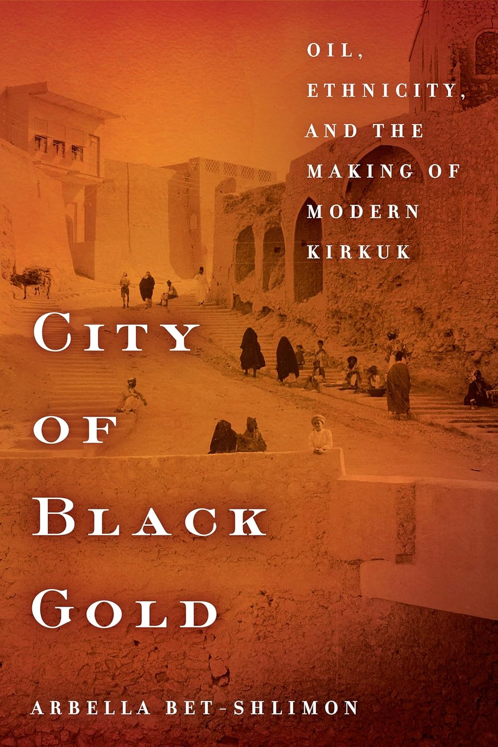 City of Black Gold: Oil, Ethnicity, and Modern Kirkuk Insights