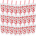 Watermelon Themed Reusable Tumblers 24 Pack - 24 oz Party Cups