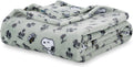Peanuts Snoopy & Woodstock VelvetLoft Plush Blanket - King Size Cozy