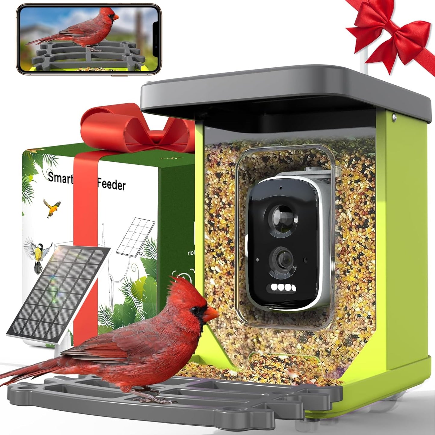 Solar-Powered Bird Feeder: Live View & Alerts