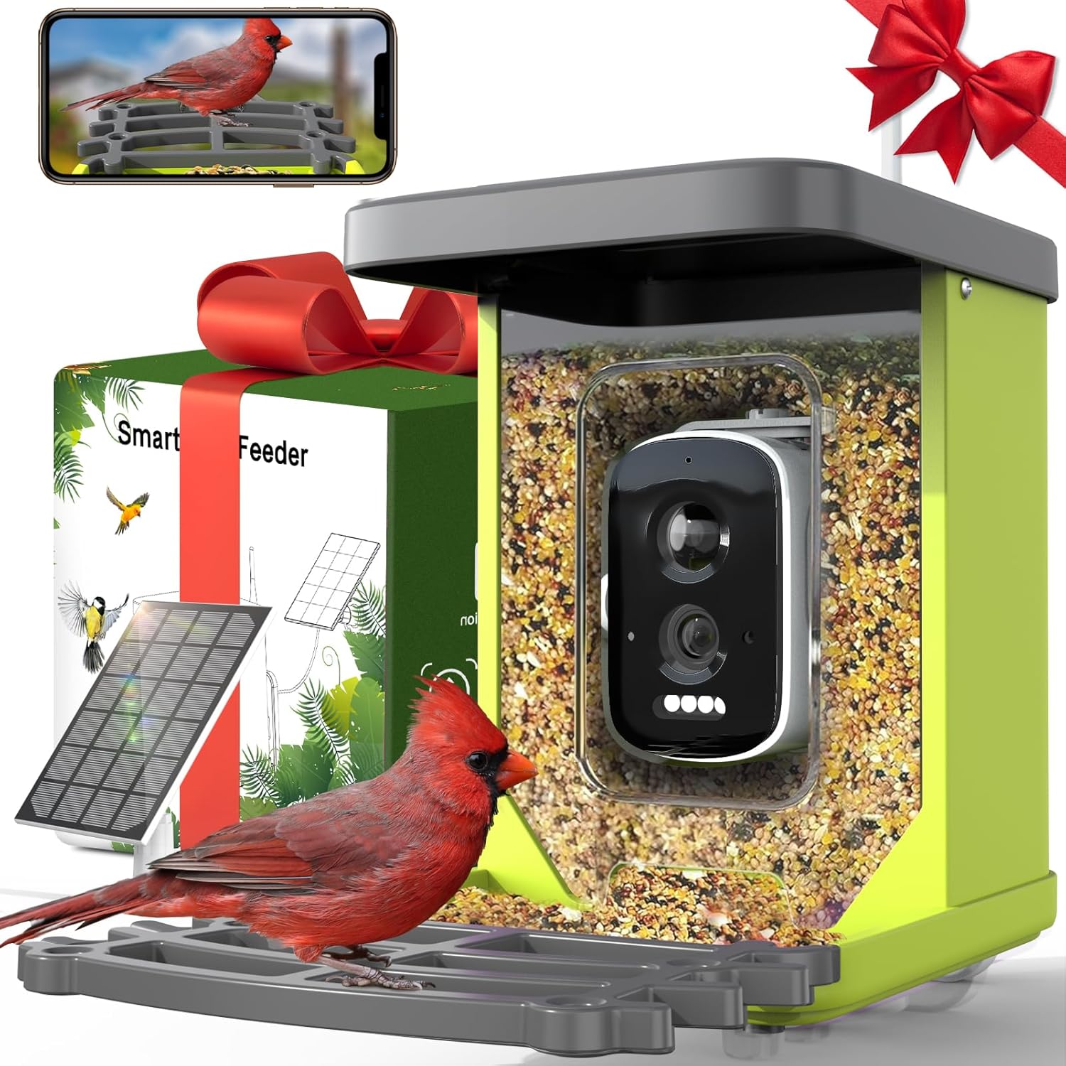 Solar-Powered Bird Feeder: Live View & Alerts