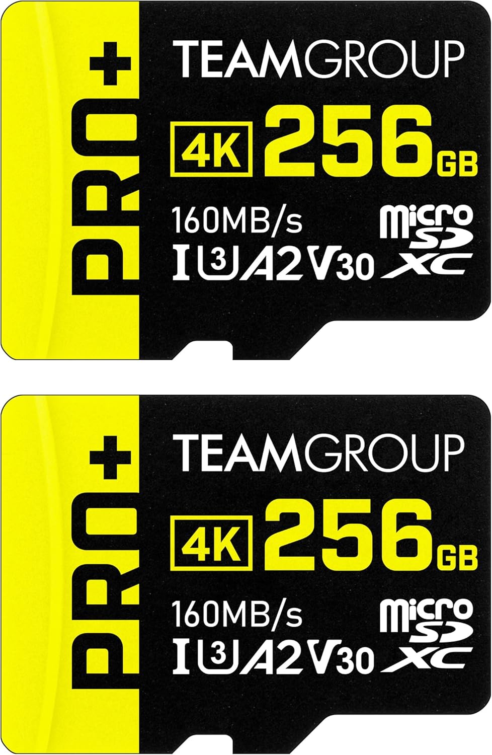 TEAMGROUP A2 Pro Plus 256GB Micro SDXC Card for Gaming Devices