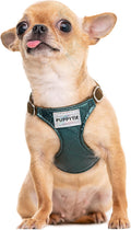No Pull XS Dog Harness with Multifunction Leash - Ultra Light, No