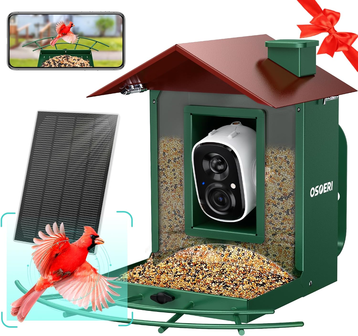 AI Bird Feeder with Camera - Watch Live Action!