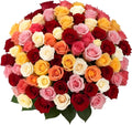 100 Rainbow Roses Assorted Mixed Color Bouquet - Bulk Fresh Roses
