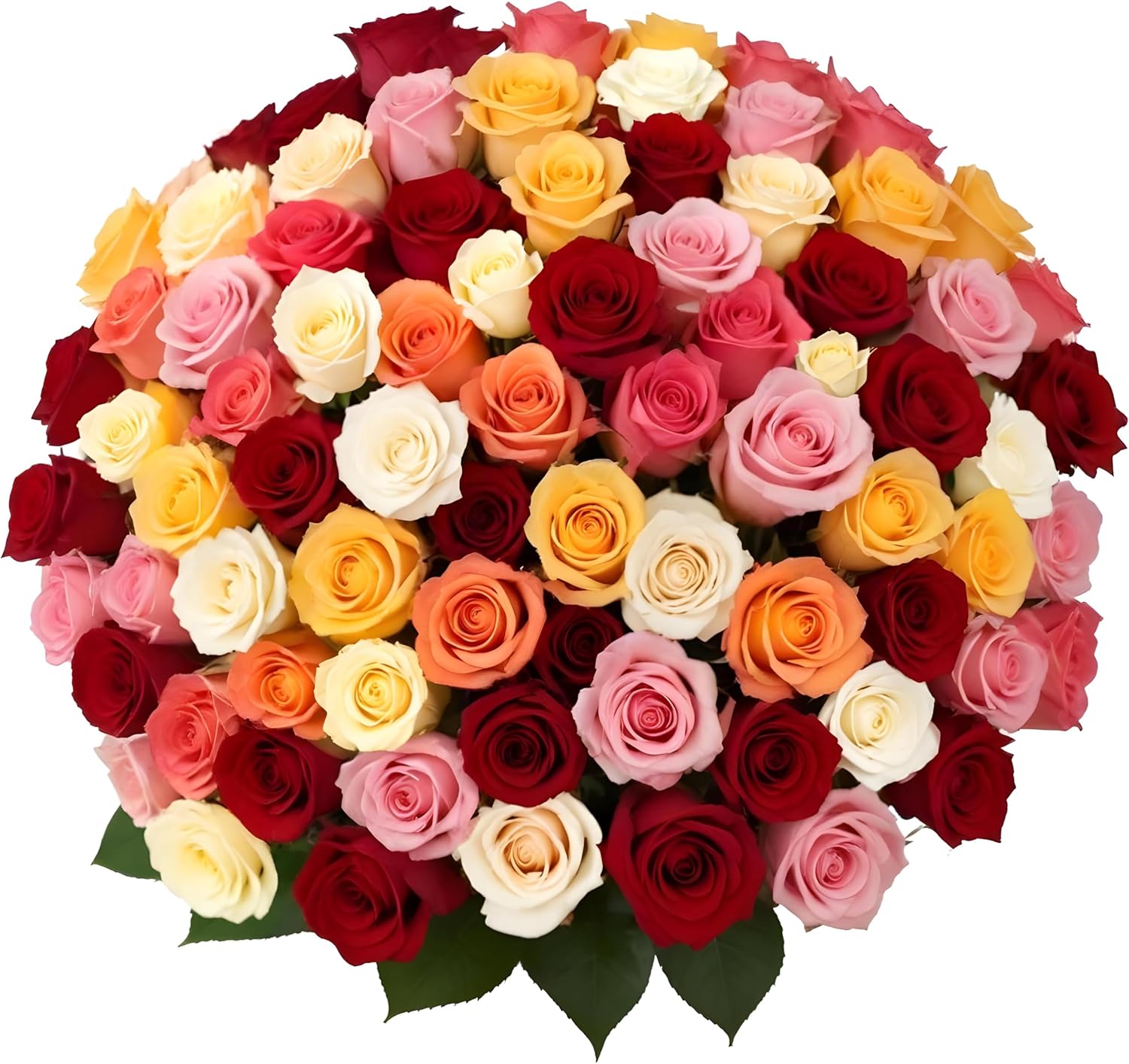 100 Rainbow Roses Assorted Mixed Color for Every Occasion