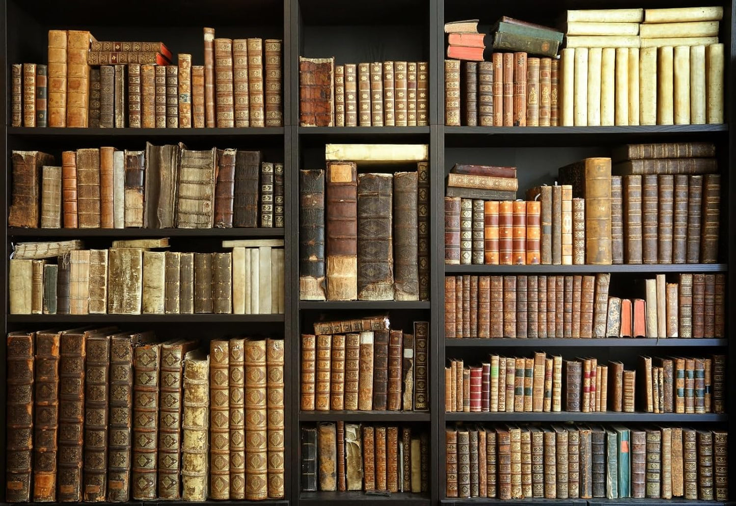 Vintage Bookshelf Backdrop for Stunning Photography and Events