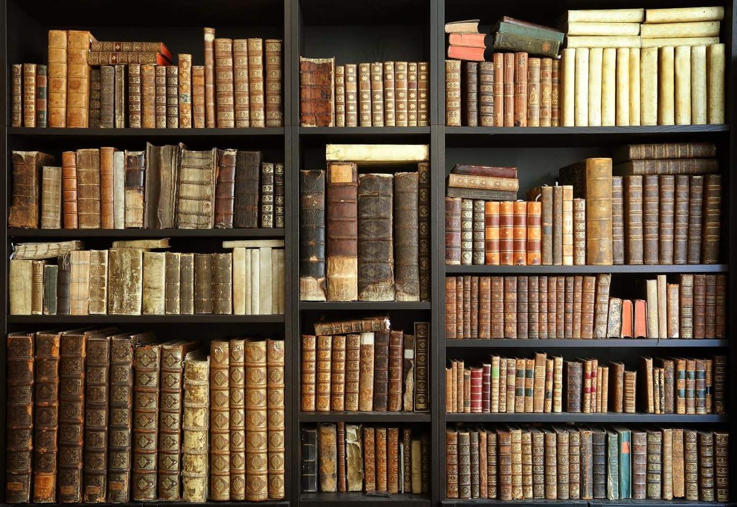 Vintage Bookshelf Backdrop for Stunning Photography and Events