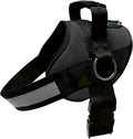 Joyride Basic Essential Dog Harness 1.0 - No-Pull Side Ring Harness