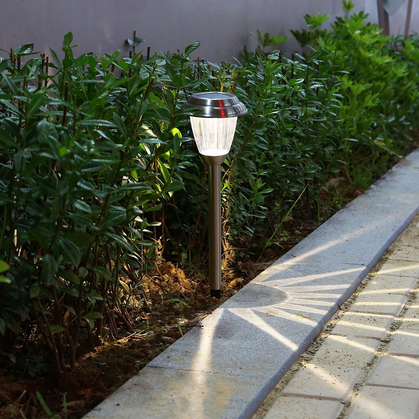 Solar LED Outdoor Lights 8-Pack for Pathway and Garden Use