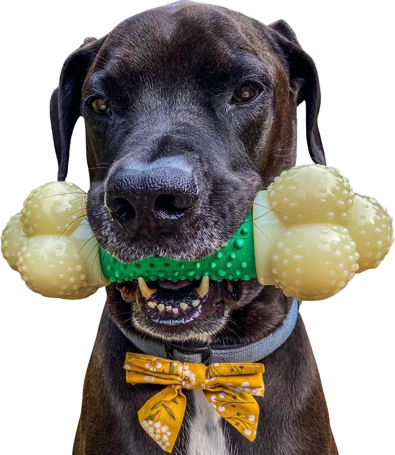 Nylabone Double Action Barbell: Durable Bacon Toy