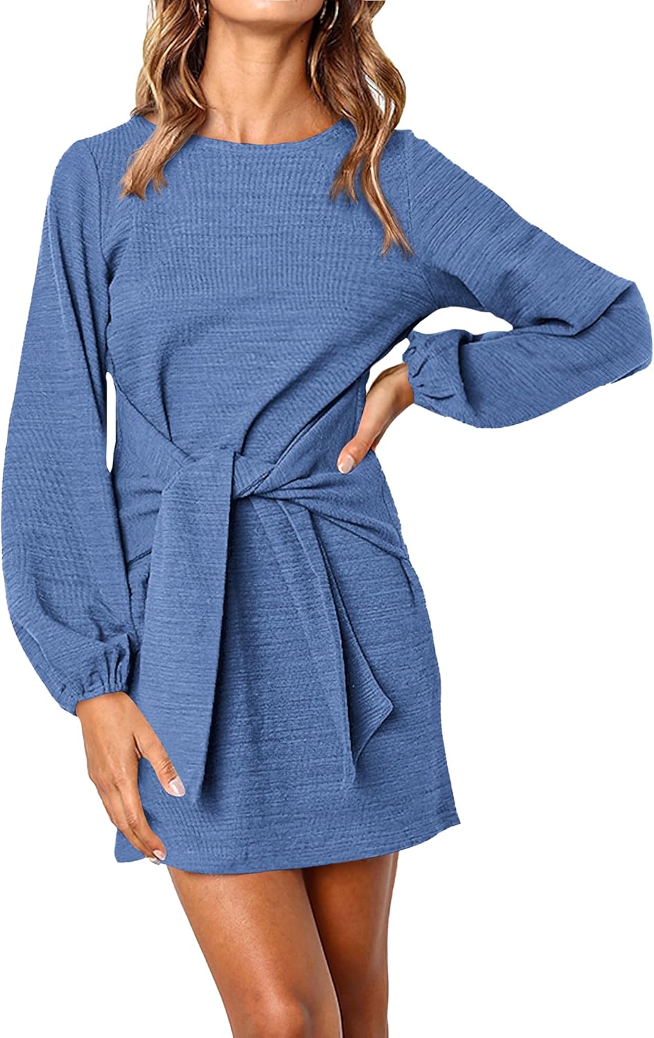 PRETTYGARDEN Womens Fall Elegant Long Lantern Sleeve Dress